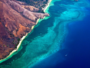 Komodo Island - Komodo And Flores Explorer